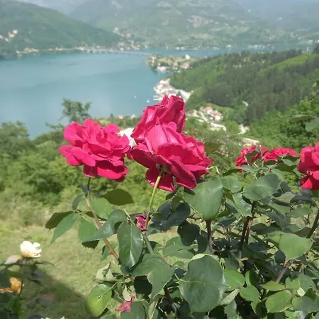 Lejla - Jablanicko Jezero * Konjic